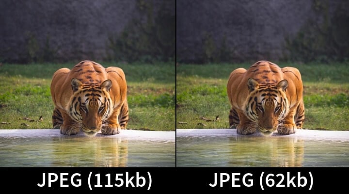 Compressed JPEG