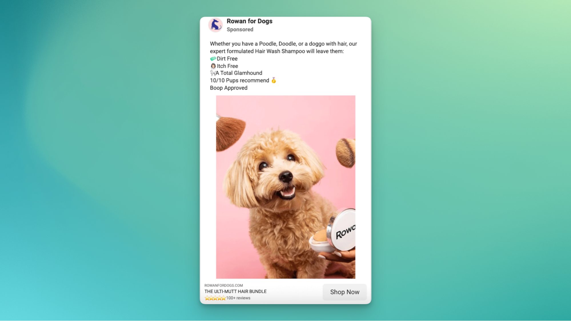 Example of a paid social media advertising campaign for pet shampoo featuring a cute, small dog.