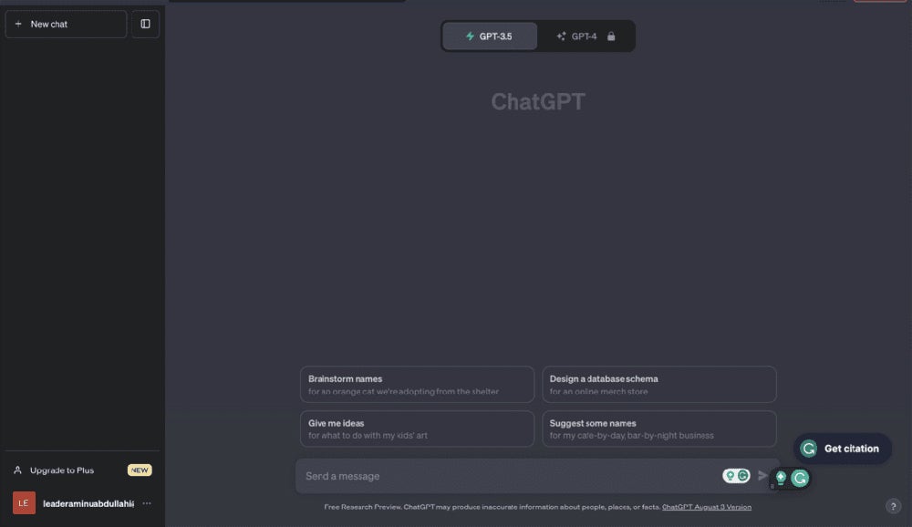ChatGPT screenshot.