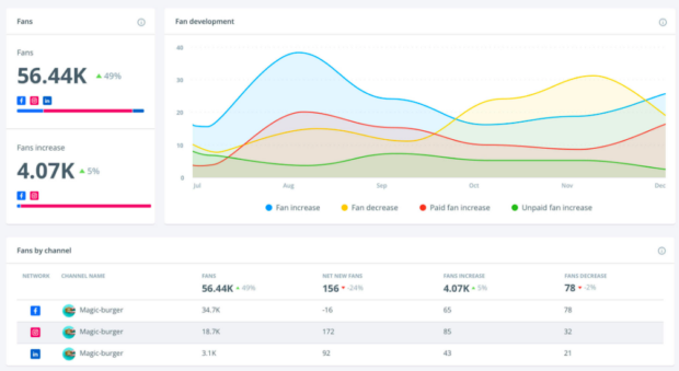 Brandwatch fan development graph and increase by channel