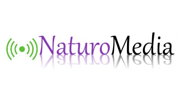 Calgary Content Marketing For Naturopaths: SEO Alternative Solutions Available