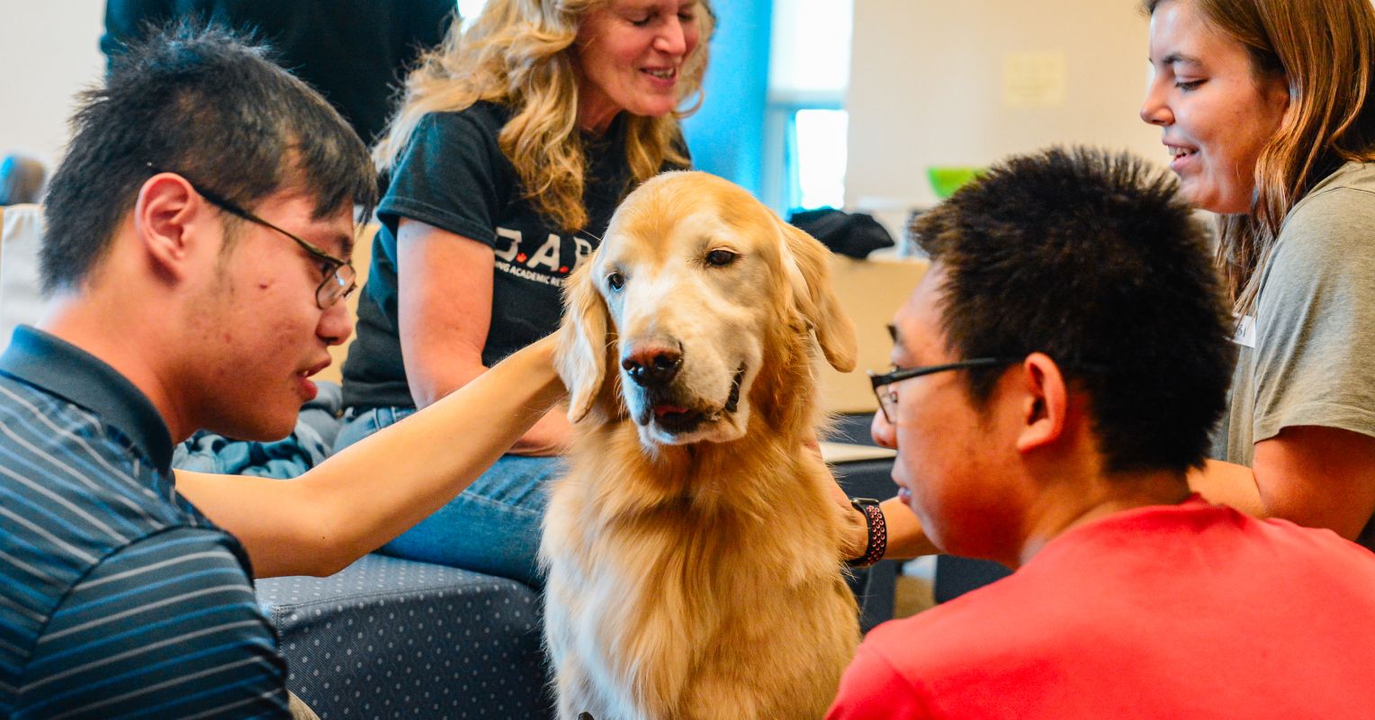 Dogs on the Roster in College Classrooms