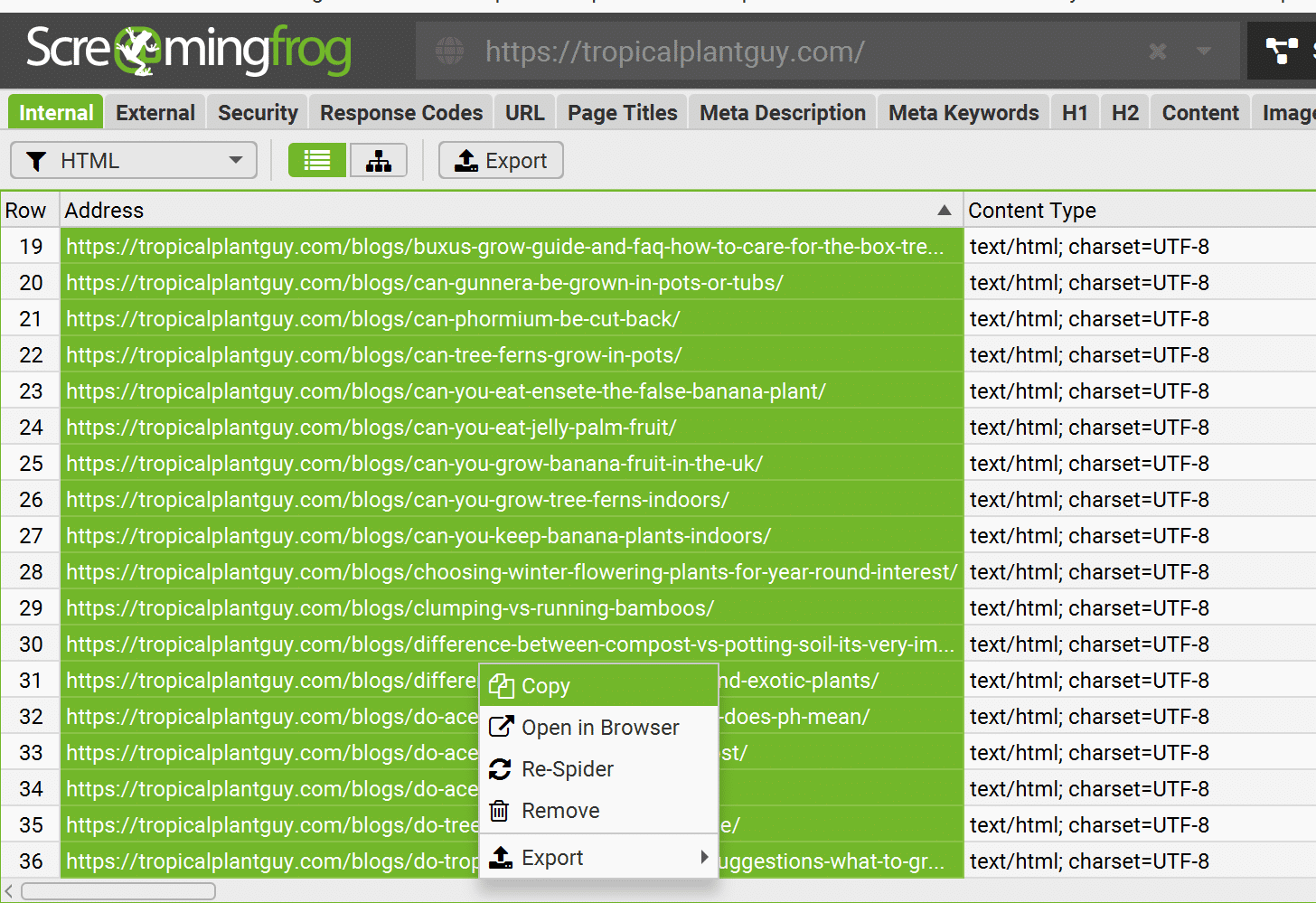 Screaming Frog Export Urls