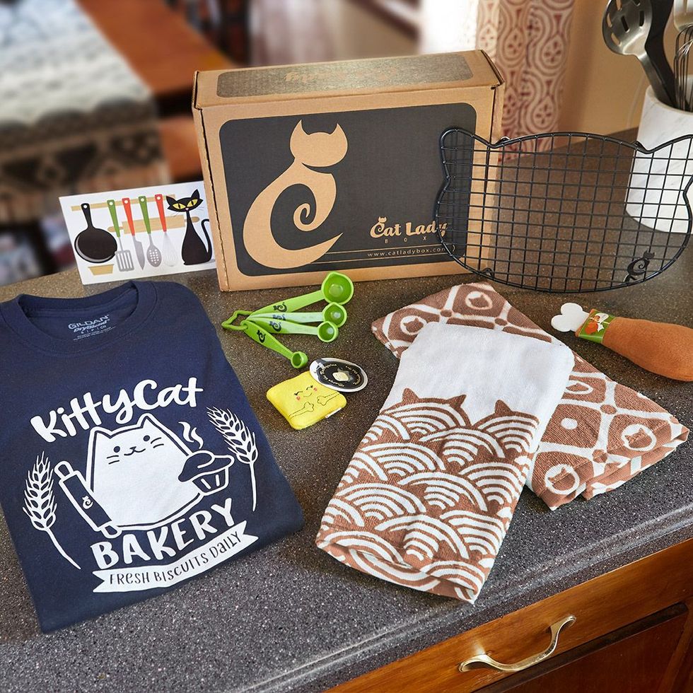 Cat Lady Box Subscription