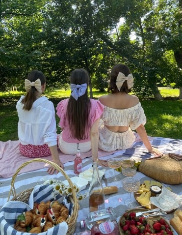 Following a dress code adds a theme to the picnic. (Pinterest)