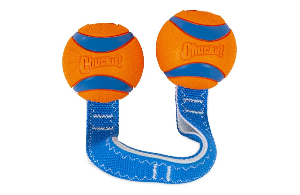 Chuckit! Ultra Duo Tug Tough Dog Toy
