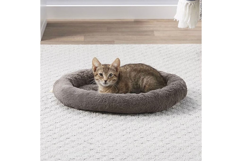 A cat comfortably lying in a round bed