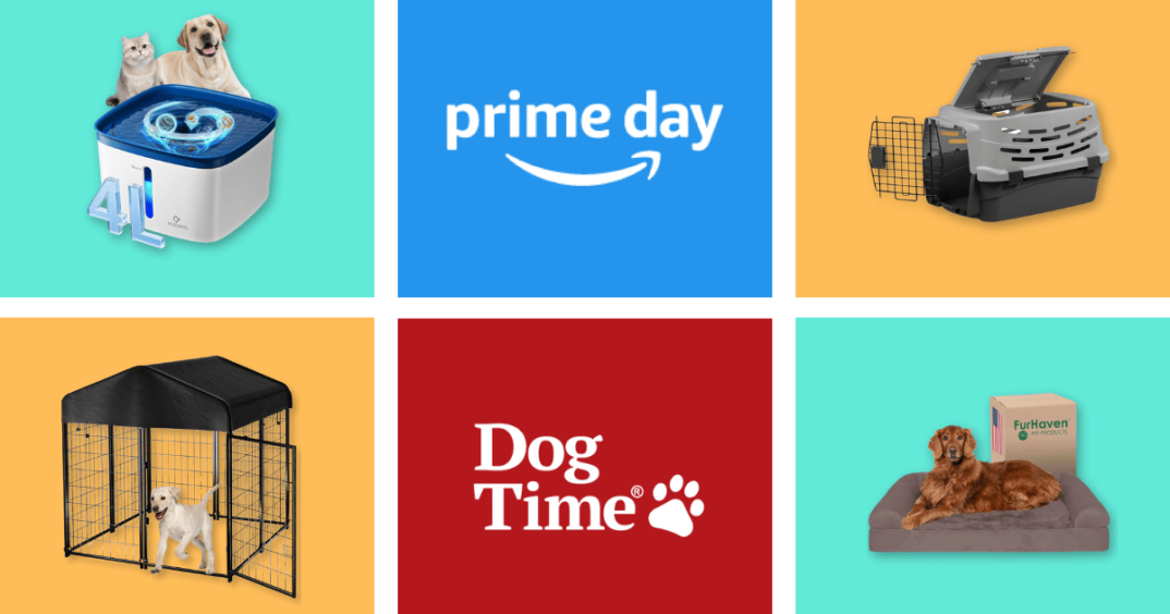 11 Best Dog Homelife Deals for Prime Day 2024