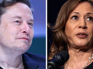 AI-Altered Kamala Harris Video Raises Alarm After Musk Reposts