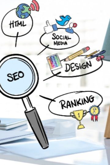 Expert SEO Services in Auckland: Boost Your Online Visibility Today