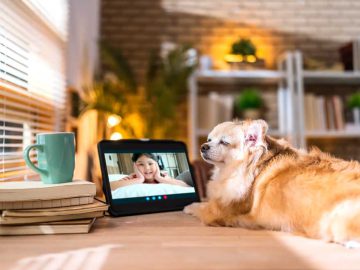 10 Best pet cameras | AP Buyline Shopping