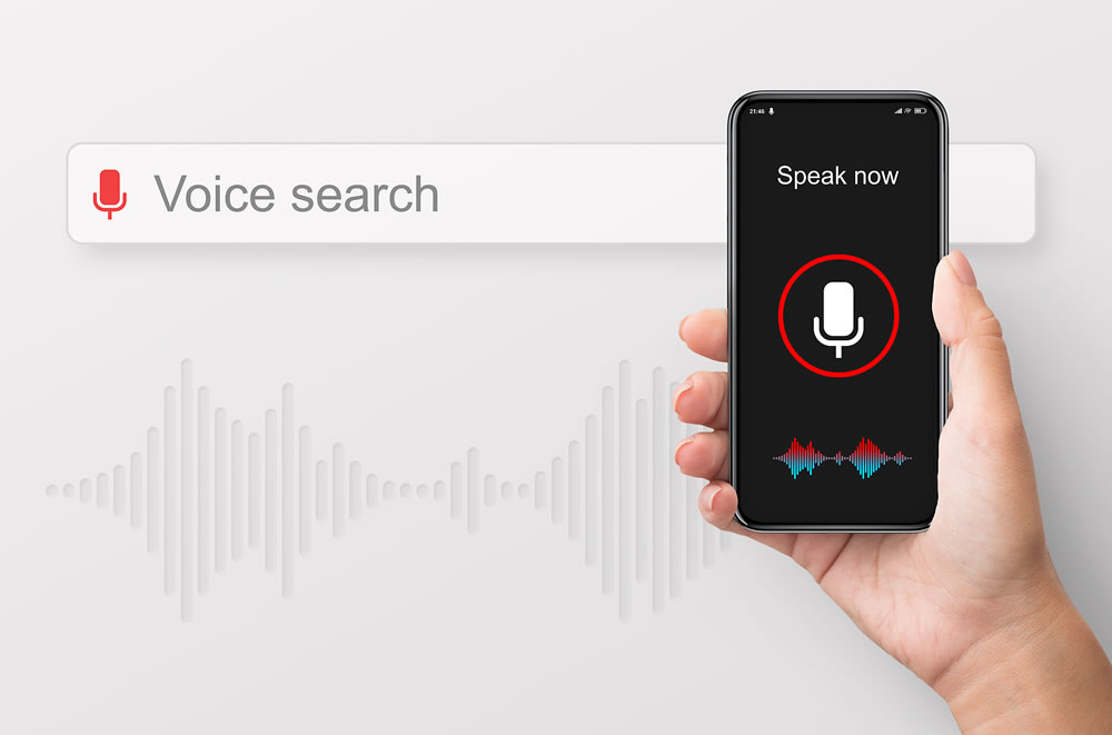 Voice Search Application