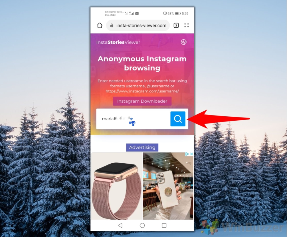 Android - Browser - InstaStoriesViewer - Enter Username - Search