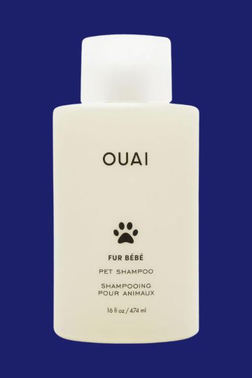 Best Dog Shampoos 2024 – Forbes Vetted