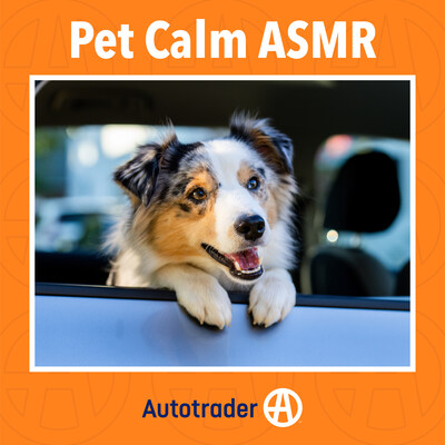 Autotrader Releases ASMR Road Trip Playlist for Dogs to Celebrate National Dog Day, Teams Up with Country Singer Walker Hayes