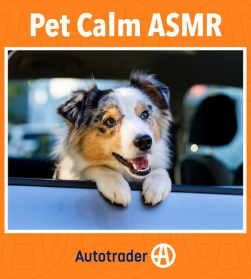 Autotrader Releases ASMR Road Trip Playlist for Dogs to Celebrate National Dog Day, Teams Up with Country Singer Walker Hayes