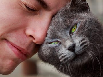 Expert Reveals 5 Ways Your Pet Can Help You Be Healthier And Happier : ScienceAlert