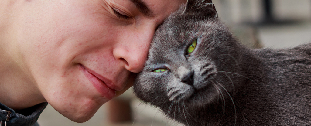 Expert Reveals 5 Ways Your Pet Can Help You Be Healthier And Happier : ScienceAlert