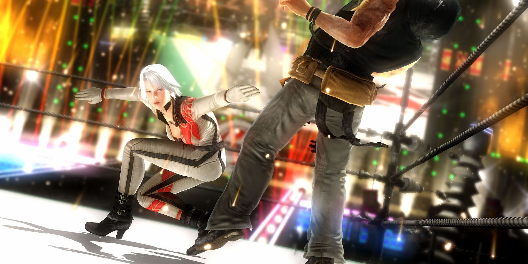 Screenshot of a battle in Dead or Alive 5: Last Round