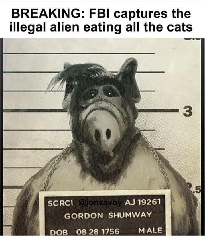 BREAKING: FBI captures the illegal alien eating all the cats SCRCI @jonsavoy AJ 19261 GORDON SHUMWAY DOB 08 28 1756 MALE - 3 2.5