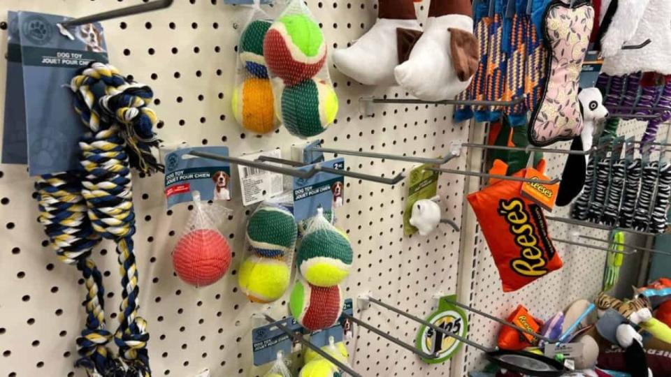 Dog toys for sale at the Dollar Store