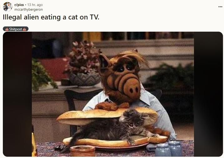 r/pics • 13 hr. ago mccarthybergeron Illegal alien eating a cat on TV. Go Shitpost co ...