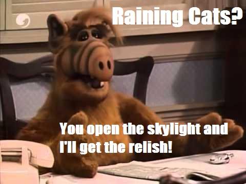 Raining Cats? You open the skylight and I'll get the relish!