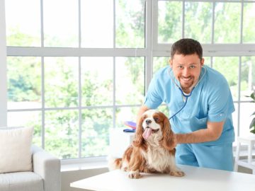 Best Pet Wellness Plans for Routine Care (September 2024)