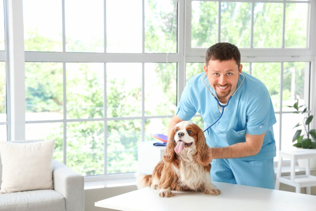 Best Pet Wellness Plans for Routine Care (September 2024)