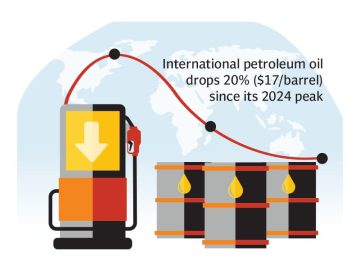 Low oil prices to help cut imports