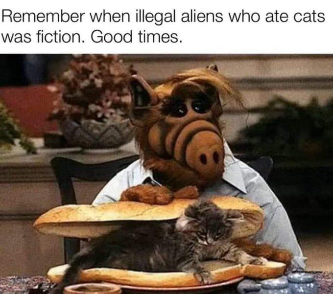 Remember when illegal aliens who ate cats was fiction. Good times.