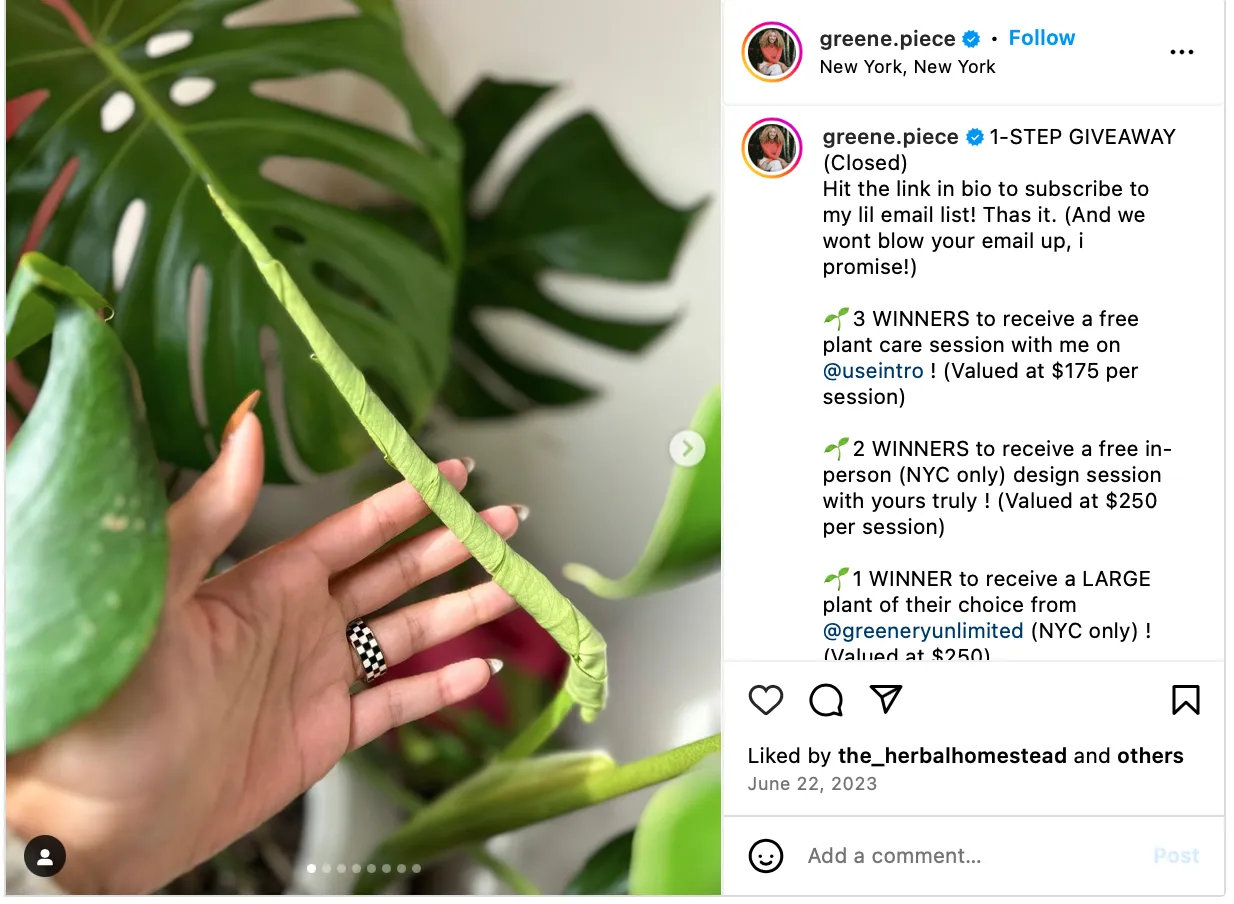 Greene.piece Instagram post hosting a giveaway to grow email list with Instagram.