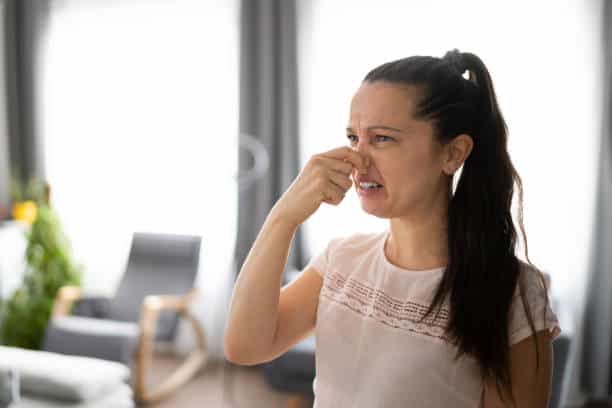 A woman with a ponytail holds her nose in apparent displeasure. She is indoors, and the background is blurred with furniture and a plant visible.