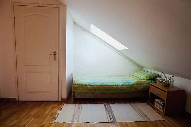 A small attic room with a single bed, striped bedding, a side table with books and a potted plant, a skylight window, wooden floor, and a white door.