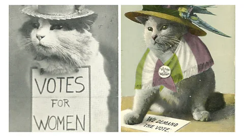 From the Collection of Ann Lewis and Myron Sponder Side-by-side images of cats with signs saying 'Votes for women' and 'We demand the vote' (Credit: From the Collection of Ann Lewis and Myron Sponder)