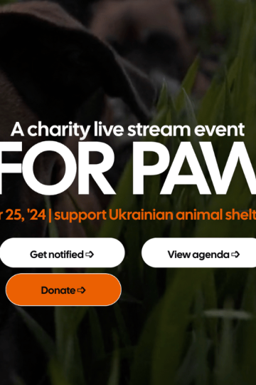 SEO For Paws Free Live Stream Conference To Support Pet Shelters