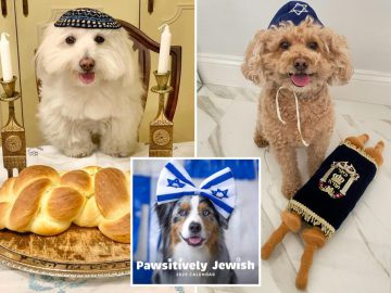 Pawsitively Jewish Calendar features Instagram-famous dogs