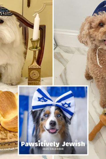 Pawsitively Jewish Calendar features Instagram-famous dogs