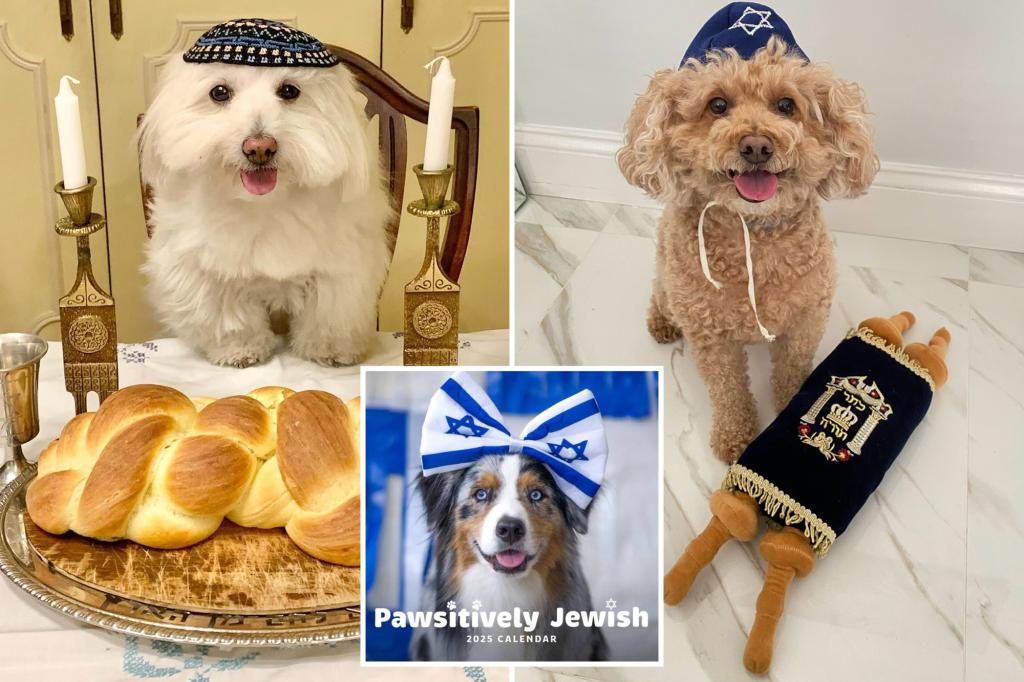 Pawsitively Jewish Calendar features Instagram-famous dogs