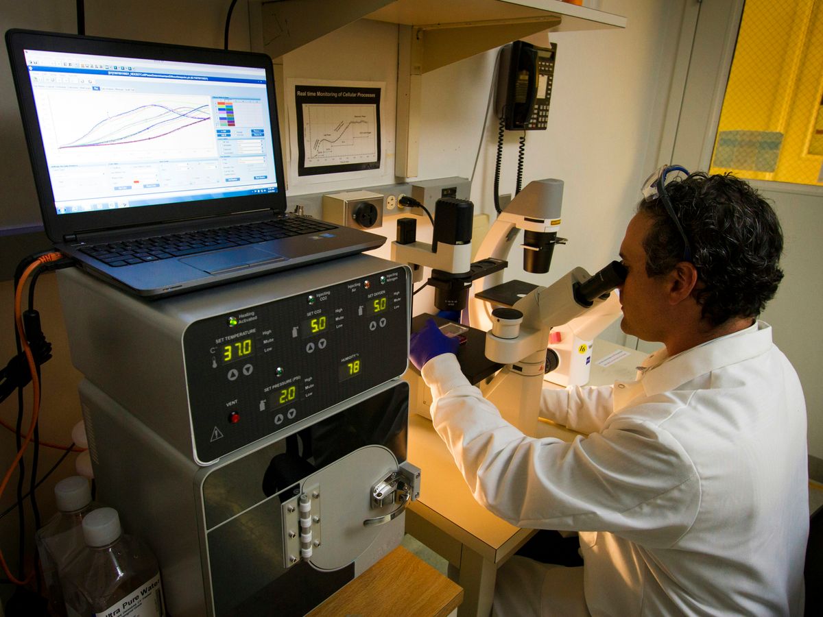 man looking at microscope