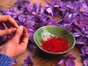 Glide into the glowing skin secrets of saffron in winters