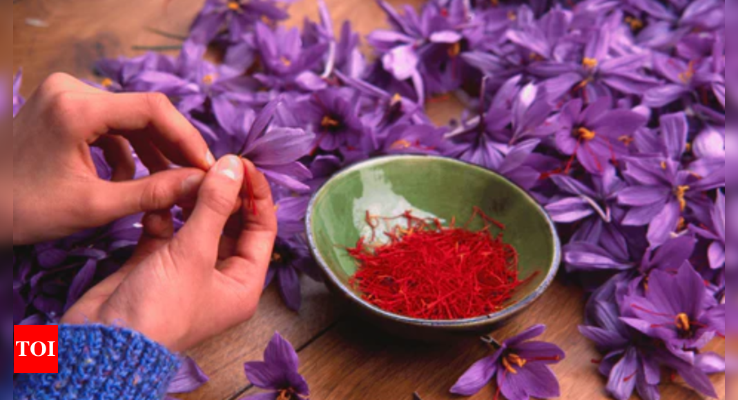 Glide into the glowing skin secrets of saffron in winters