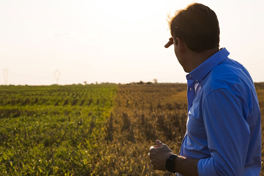 Top 10 careers in agricultural business in a global food economy