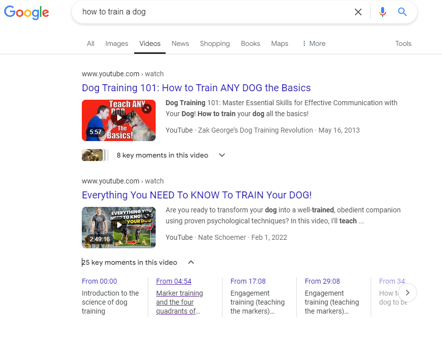 screenshot of Google query 