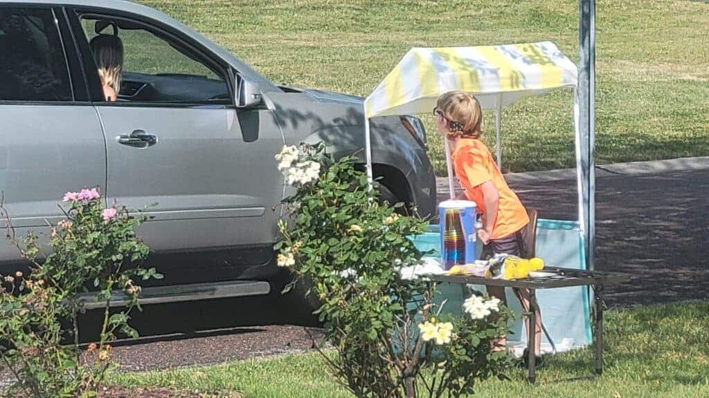 Child selling lemonade to a person in a parked car at a small stand with a striped canopy. Nearby, there are blooming rose bushes.