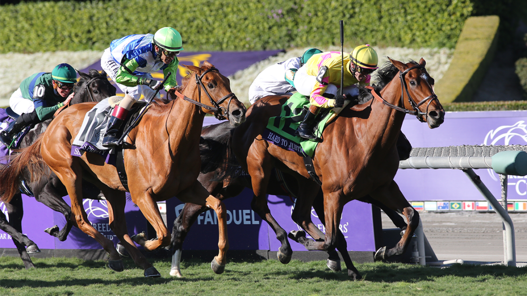 How to watch Breeders’ Cup 2024: free live streams for Del Mar Classic, Championship Saturday schedule