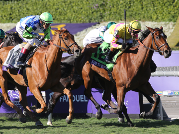 How to watch Breeders’ Cup 2024: free live streams for Del Mar Classic, Championship Saturday schedule