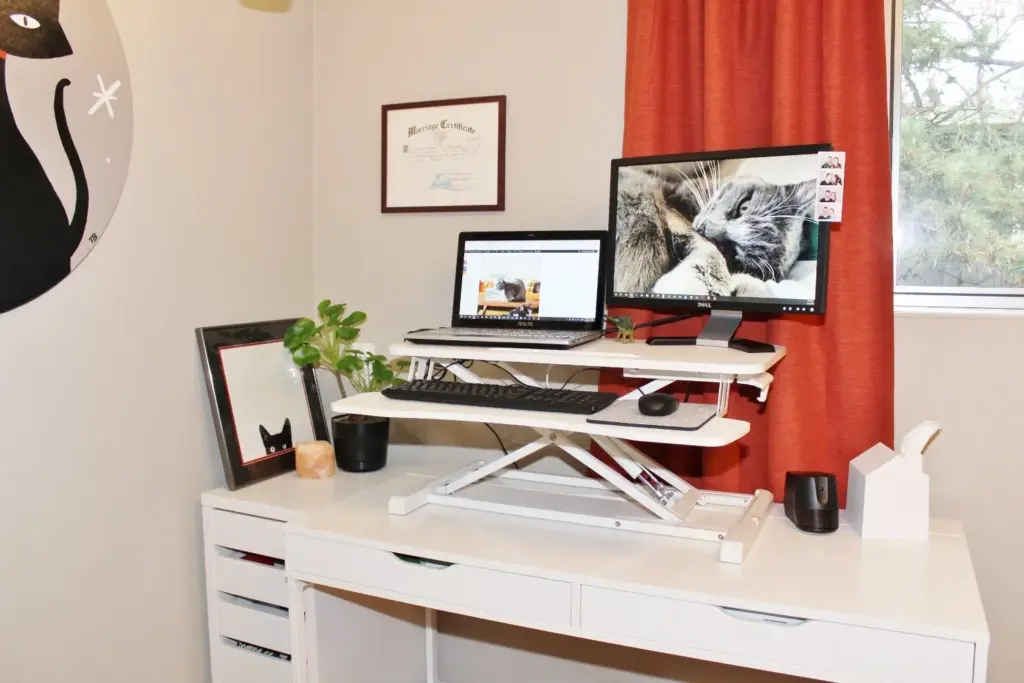 Desk with a white adjustable stand holding a laptop and monitor. Red curtains, a framed certificate, plant, and cat pictures decorate the space.