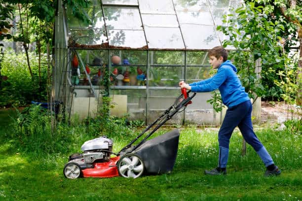 A person in a blue hoodie is mowing a green lawn with a red lawnmower near a glass greenhouse.