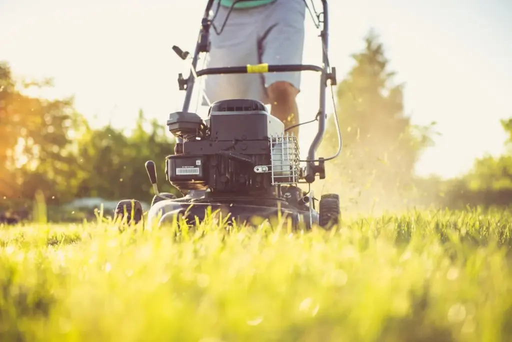 A person is mowing a lawn with a push lawn mower on a sunny day, with grass clippings visible in the air.